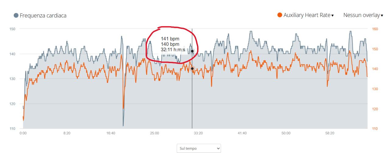photo_2024-11-06_13-35-06