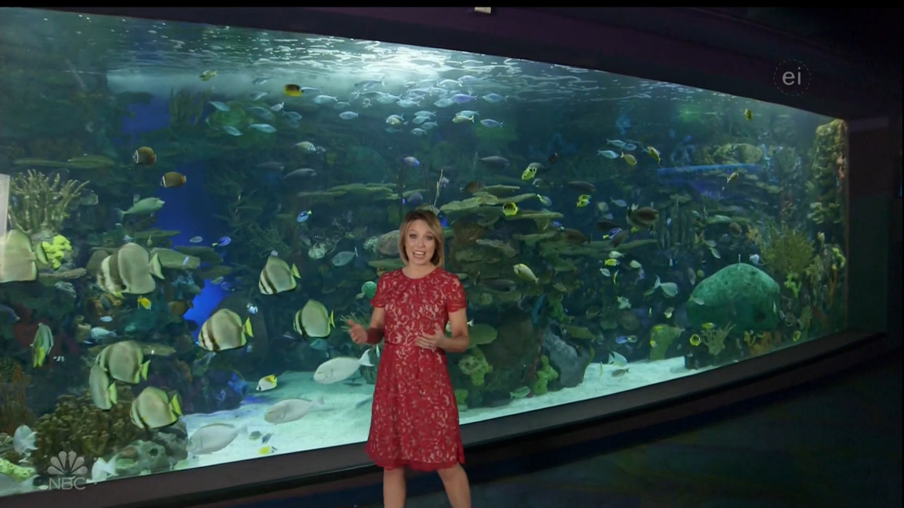 11.07 - 15.00.00 - Earth Odyssey With Dylan Dreyer. The world's smart....ts_snapshot_01.05.10.390