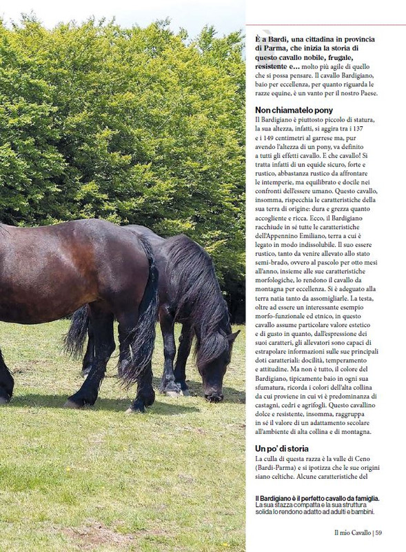 Il Mio Cav (Nov-Dic 2023) 10