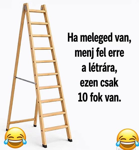 https://i.postimg.cc/TYyFk6d8/ha-meleged-van.jpg