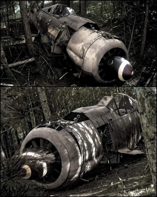 Fw 190 trouvé dans les bois en Russie Fw-190-2