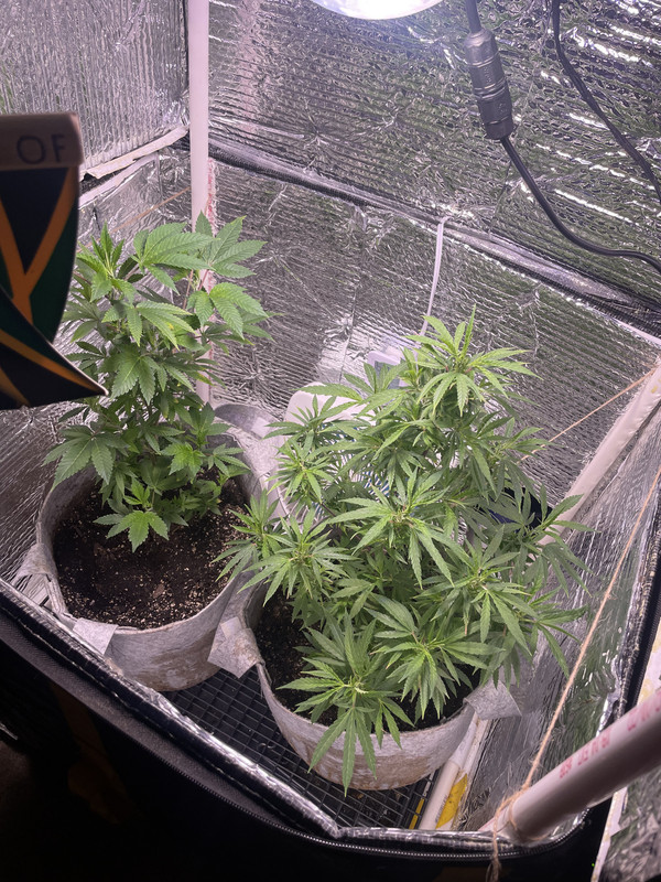 039F5C42-5ED0-479B-A916-05511AC31496