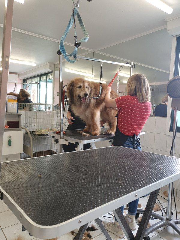 [Image: 20220512-171208.jpg]