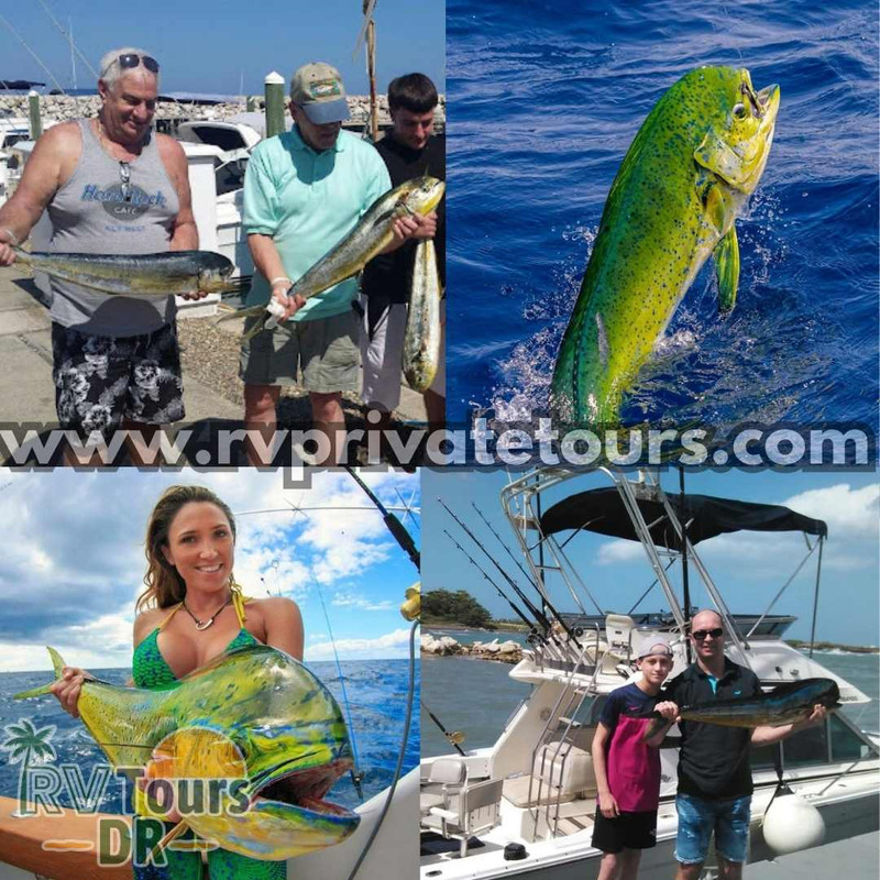Deep Sea Fishing Charter Puerto Plata