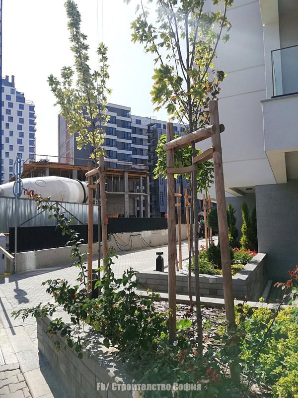 batch_IMG_20200921_142152