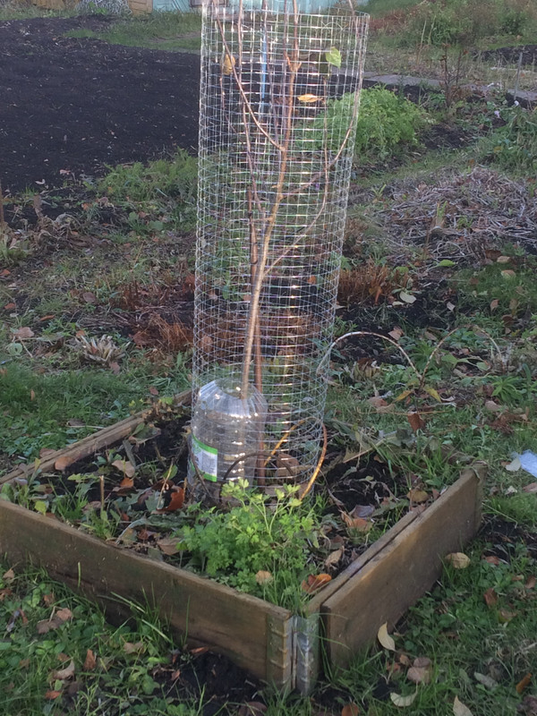 70F36298-B13D-41B8-9A81-2A325ABCF847