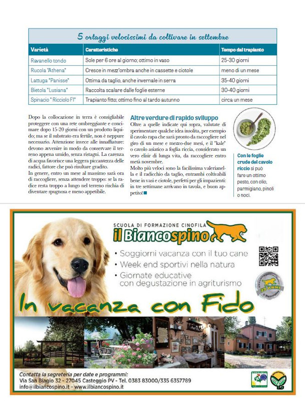 Pol Ver Set 2025 (6)