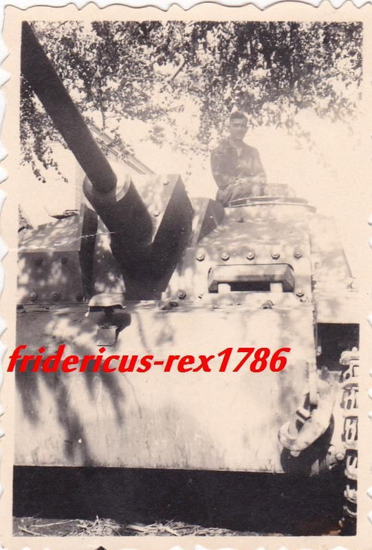 Elite 10. Panzer Div. Frundsberg Sturmgeschütz J