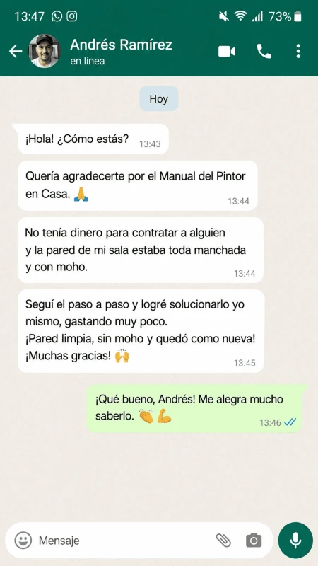 Testimonio sobre el Manual Pintor en Casa