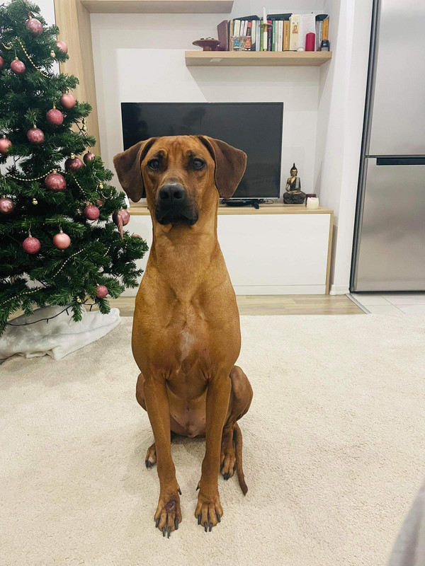 6beef2a0-7f83-48dc-bc11-dfa3ca580909 (2)