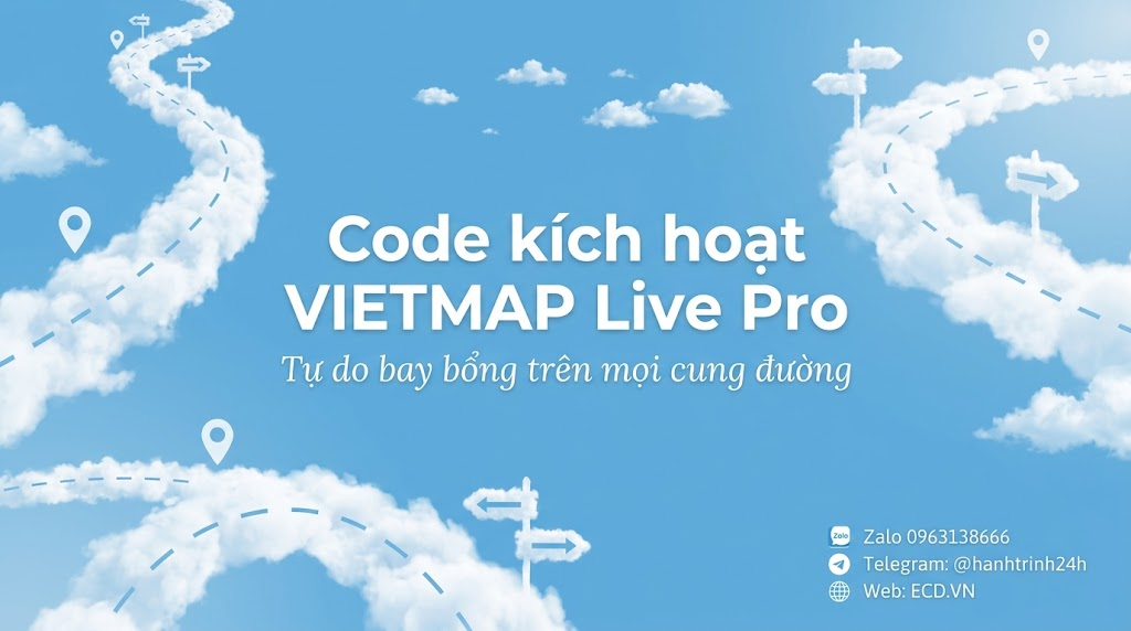 vietmap phạt nguội