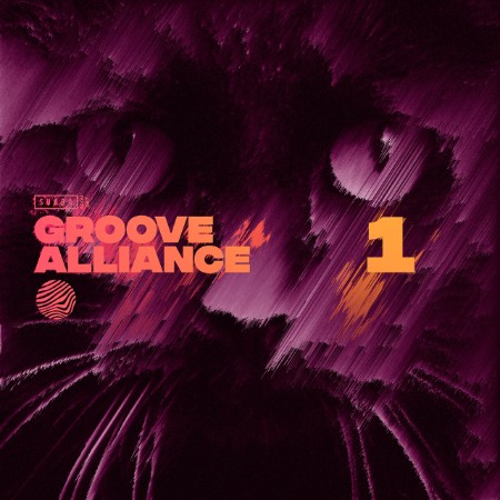 VA - Groove Alliance 1 (2025)