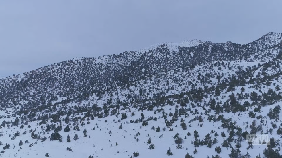 [Image: 1m5u8k7hrkhf.png]