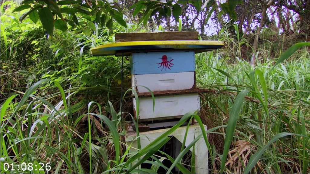 [Image: 96kbkkdm1h3h.png]