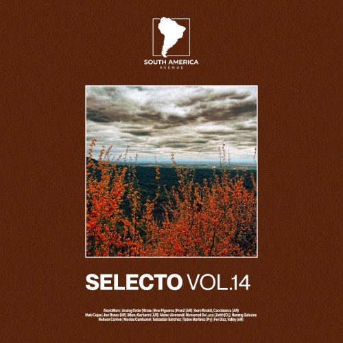 00-va-selecto-south-america-14-saalp026-