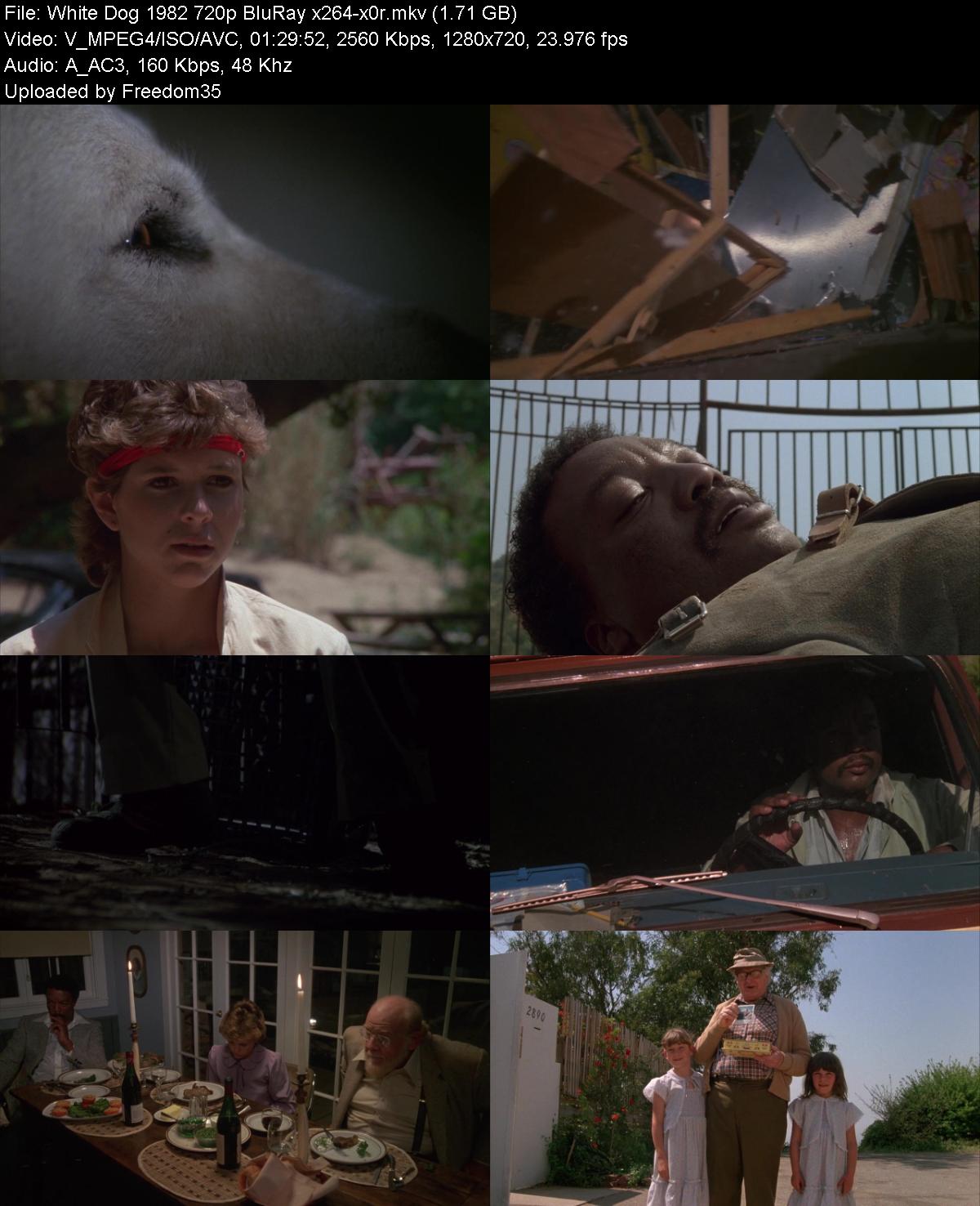 White-Dog-1982-720p-Blu-Ray-x264-x0r.jpg