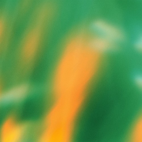 M.R.E. - Plausible Placebo (2026)
