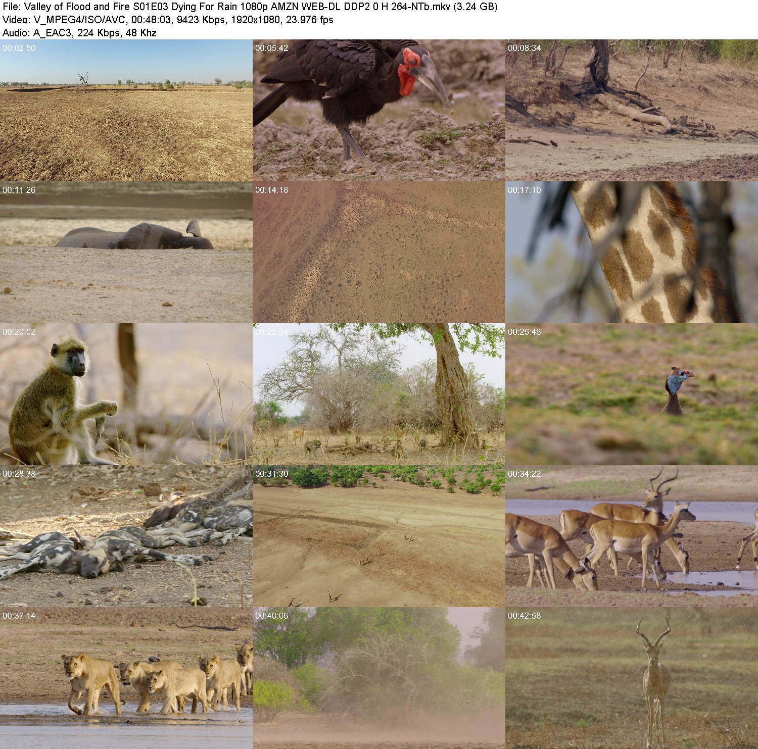 [Image: bm4z4hgg66le.jpg]