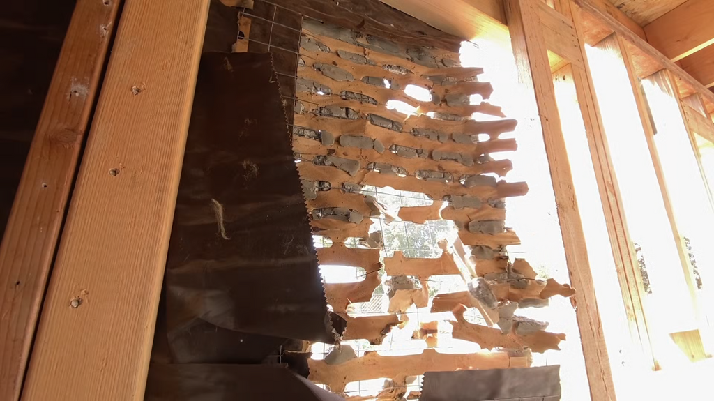 [Image: dk8l6bg94epg.png]