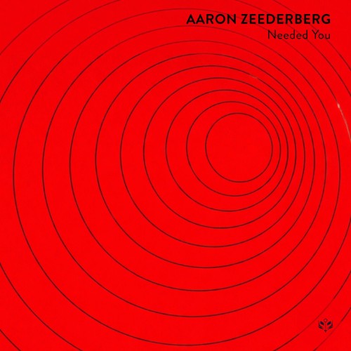 Aaron Zeederberg - Needed You (2026)