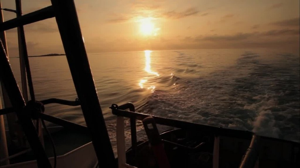 [Image: pb5j08v3jqjq.jpg]