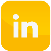 LinkedIn - Saviory Bricks