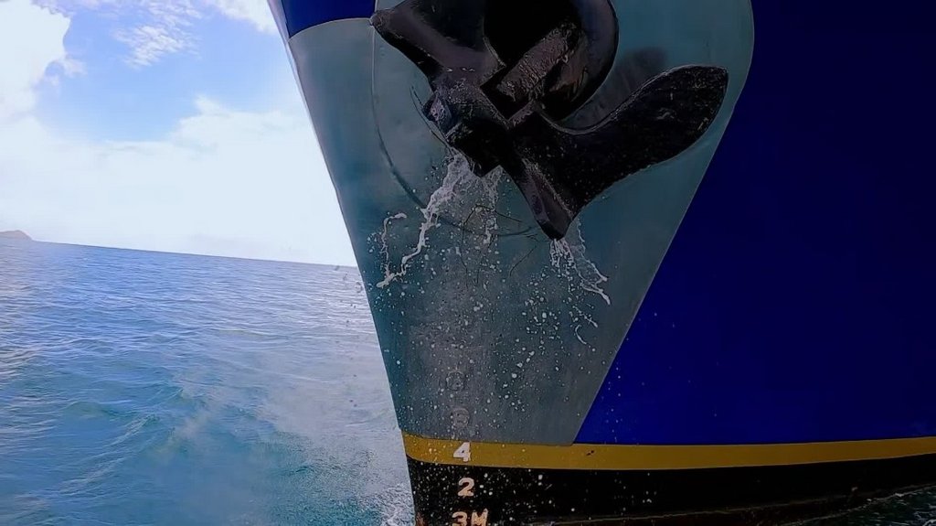 [Image: xa0s8nz4xzw7.jpg]