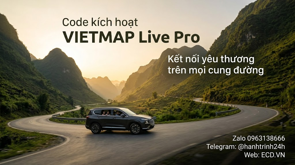 vietmap pro multi year