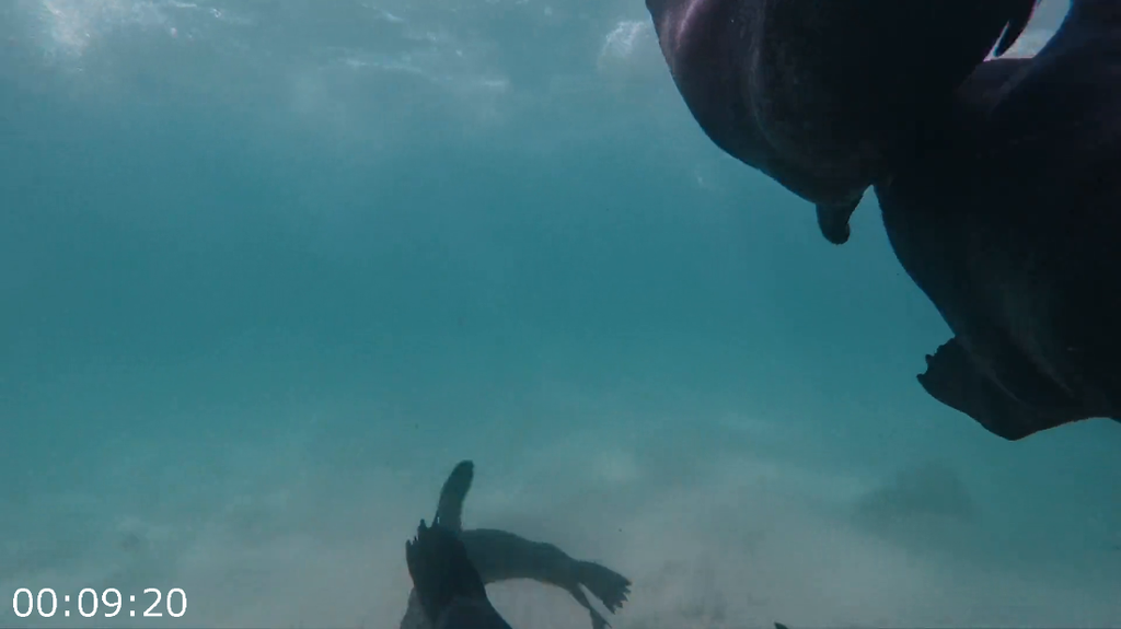 [Image: 92ev9ylly4cu.png]