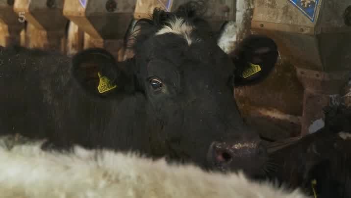 [Image: vu28wm6u8jux.jpg]