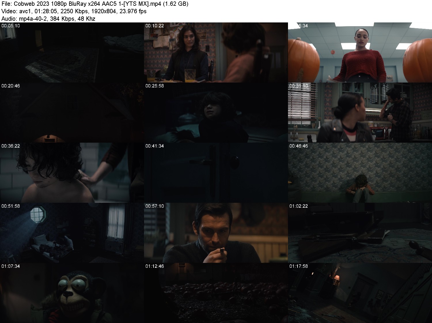 [Image: vfcqxk9n0h69.jpg]