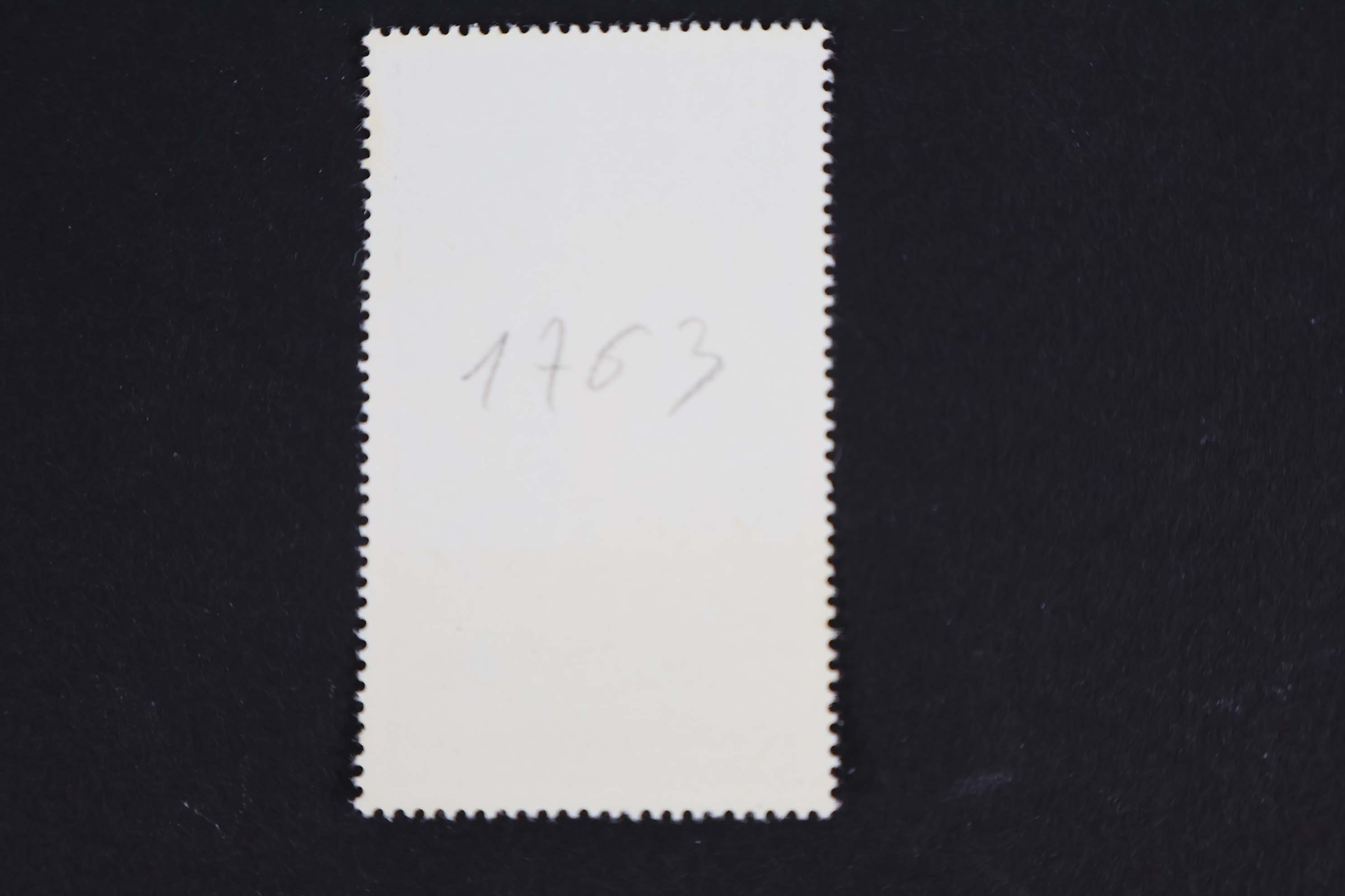 IMG-3630