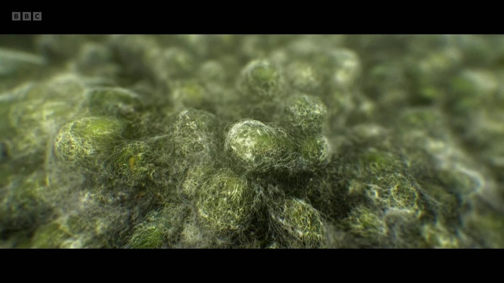 [Image: vc27rh31fsht.jpg]