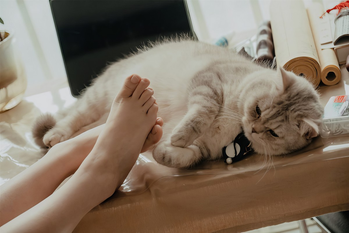 年年nnian 居家休闲写真 日常生活感图集插图6