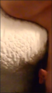 [Image: 1Face024119025311.jpg]
