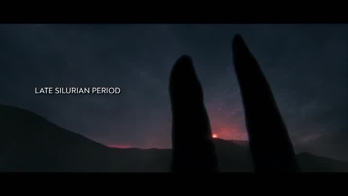 [Image: 6ujaynpz260p.jpg]