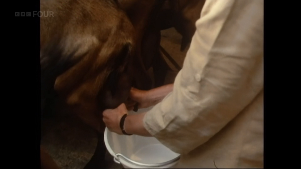 [Image: 2iov1t4wp9rp.png]