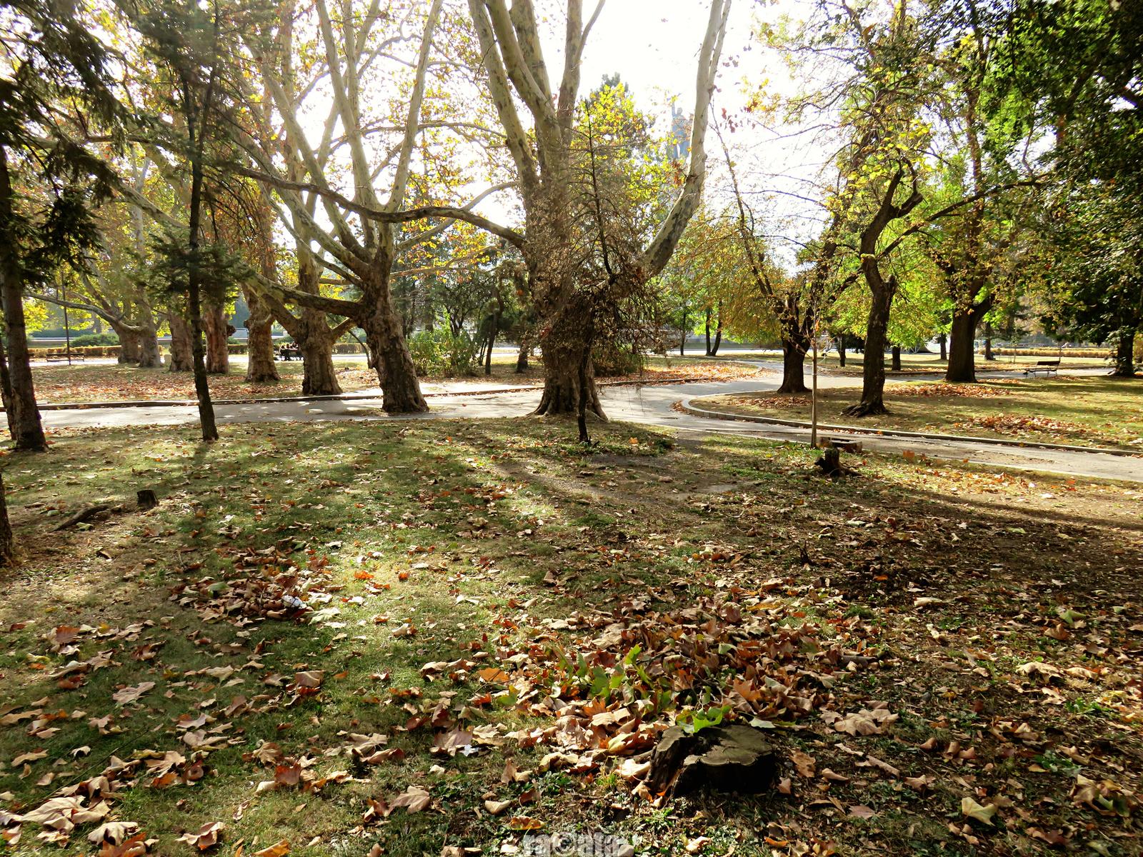 batch IMG 0976 — Postimages