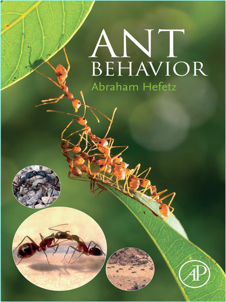 [Kép: umx24vkq2ar0.png]