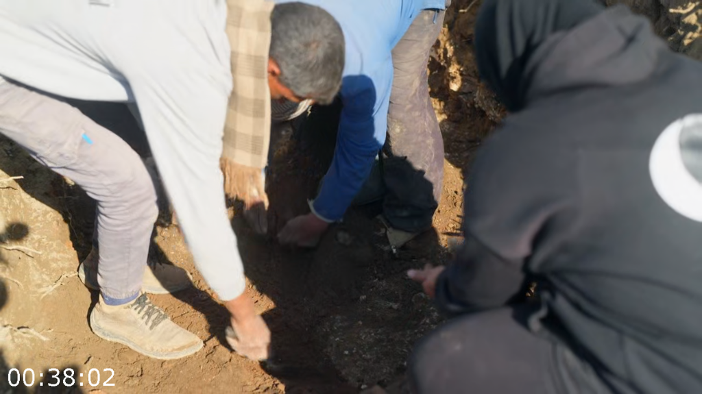 [Image: wrljx7jz26a2.png]