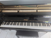 052186cc-6845-11ef-b5e5-fbbd2895551e