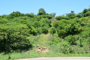 DSC-0401