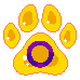 pridepaw intersex