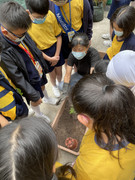 photo-littlefarmer2223-4A-002