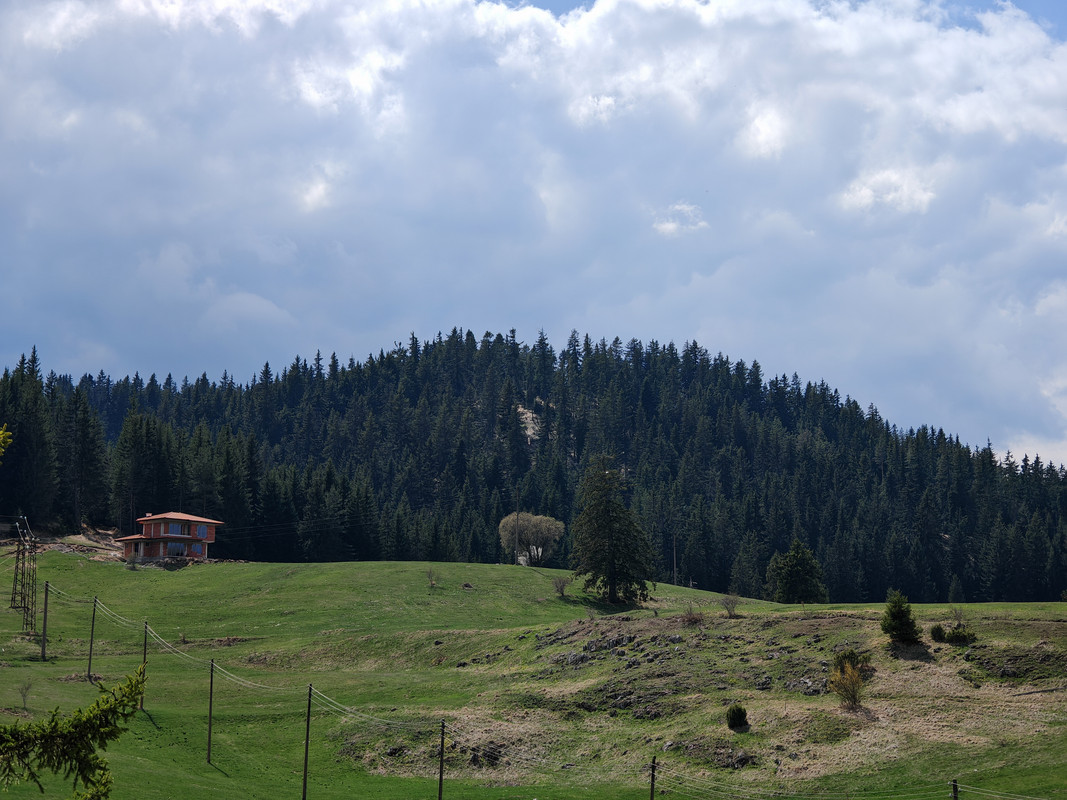 IMG_20240413_144511