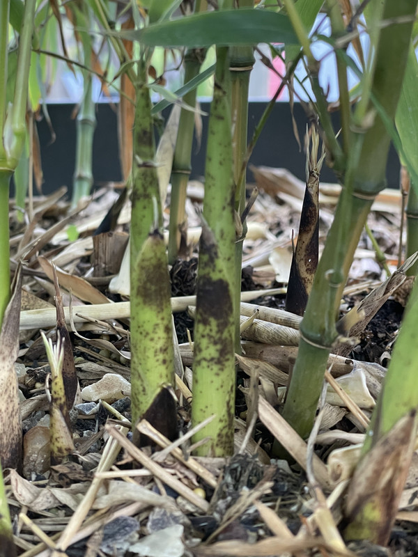 DB23B5A7-D8D2-43B6-B7C4-9708A4911E2F