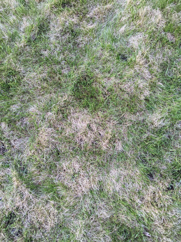 PXL_20210528_032424147