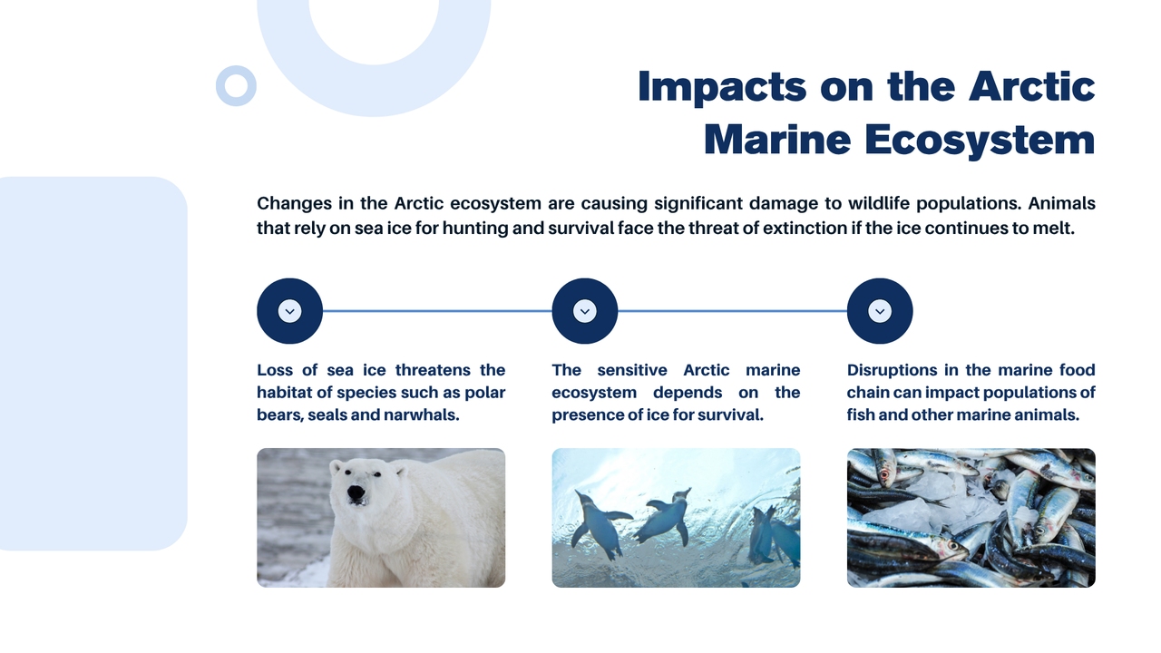 Blue and White Simple The Future Of The Arctic Presentation