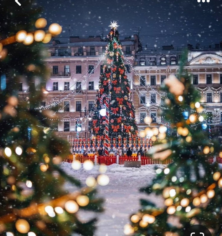 Screenshot_20231217_120137_Pinterest