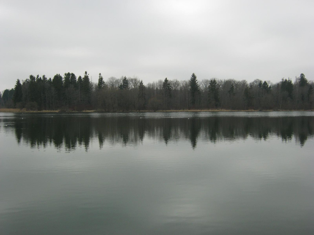 весна, Ропша